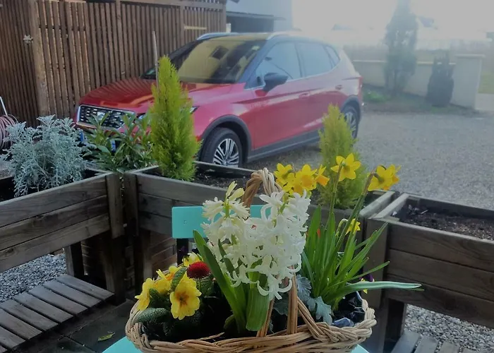 Les Lilas Гостевой дом Кольмар